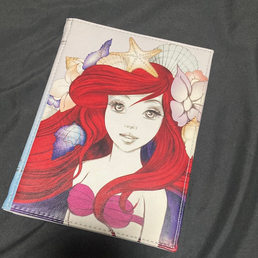 iPad Mini Case